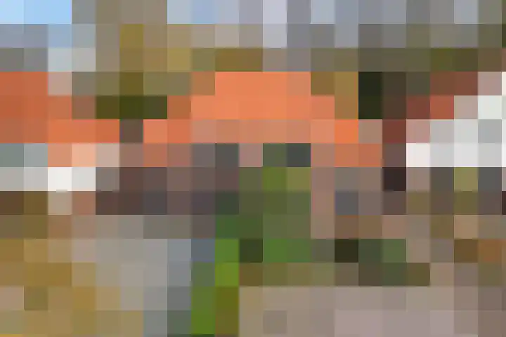 Burg van der Lelysingel 13 Coevorden thumbnail 46