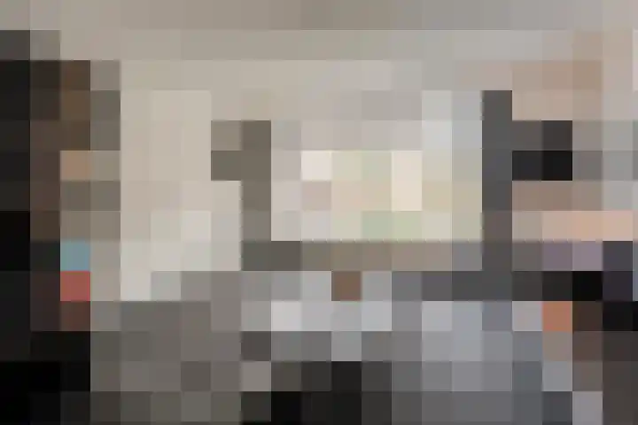 Burg van der Lelysingel 2 D Coevorden thumbnail 13