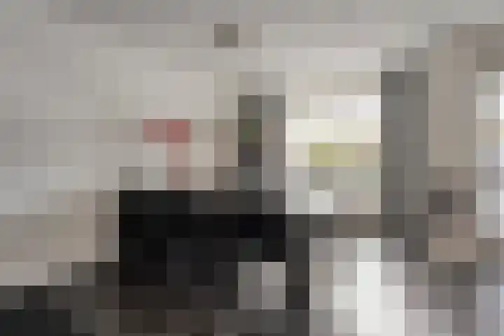 Burg van der Lelysingel 2 D Coevorden thumbnail 14