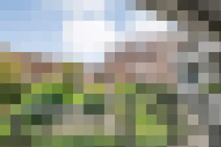 Burg van der Lelysingel 2 D Coevorden thumbnail 16
