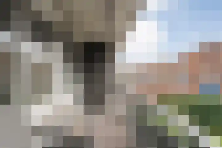 Burg van der Lelysingel 2 D Coevorden thumbnail 17