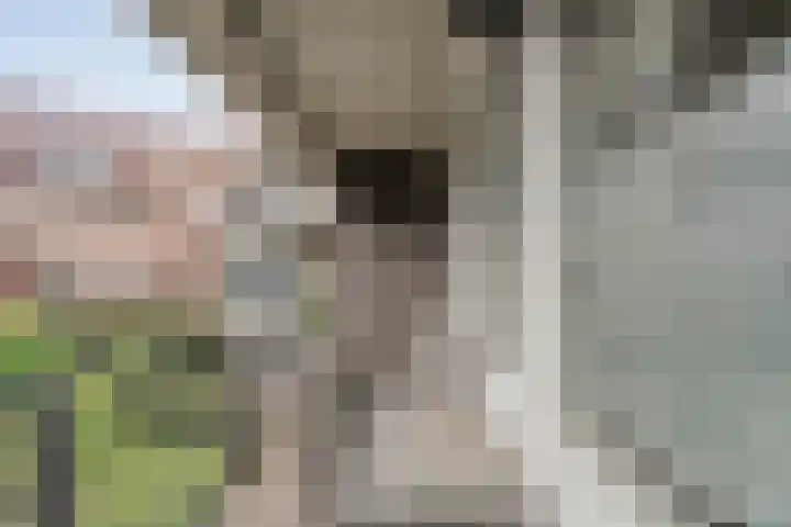 Burg van der Lelysingel 2 D Coevorden thumbnail 18