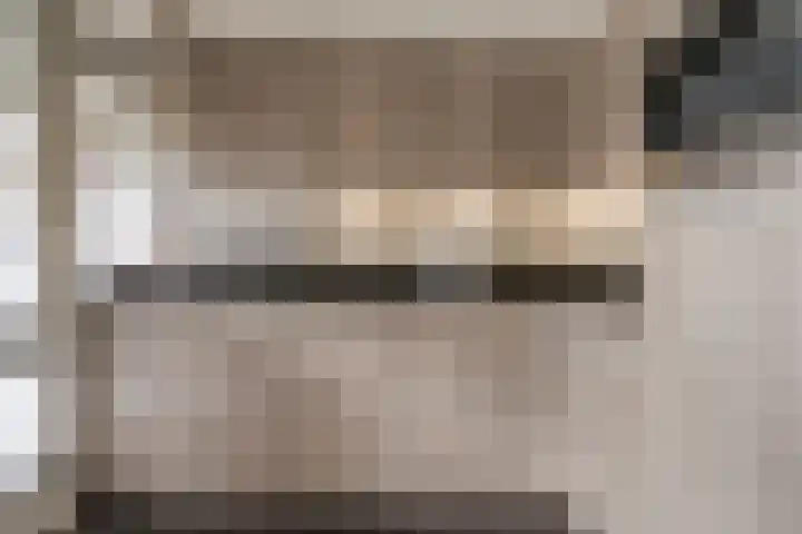 Burg van der Lelysingel 2 D Coevorden thumbnail 19