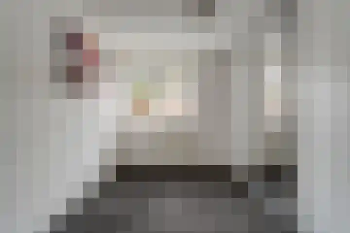 Burg van der Lelysingel 2 D Coevorden thumbnail 26