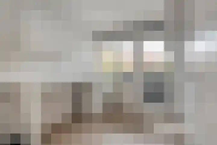 Burg van der Lelysingel 2 D Coevorden thumbnail 27