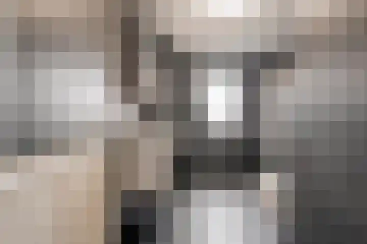Burg van der Lelysingel 2 D Coevorden thumbnail 28