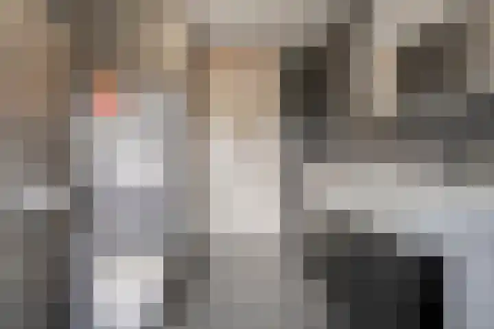Burg van der Lelysingel 2 D Coevorden thumbnail 30