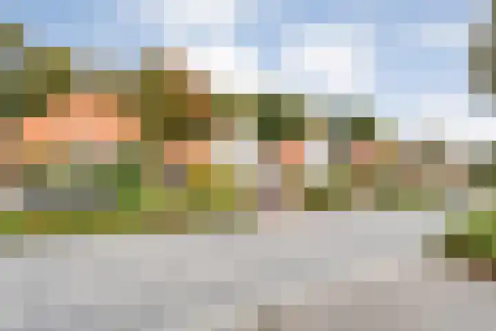 Burg van der Lelysingel 2 D Coevorden thumbnail 31