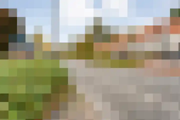 Burg van der Lelysingel 2 D Coevorden thumbnail 32