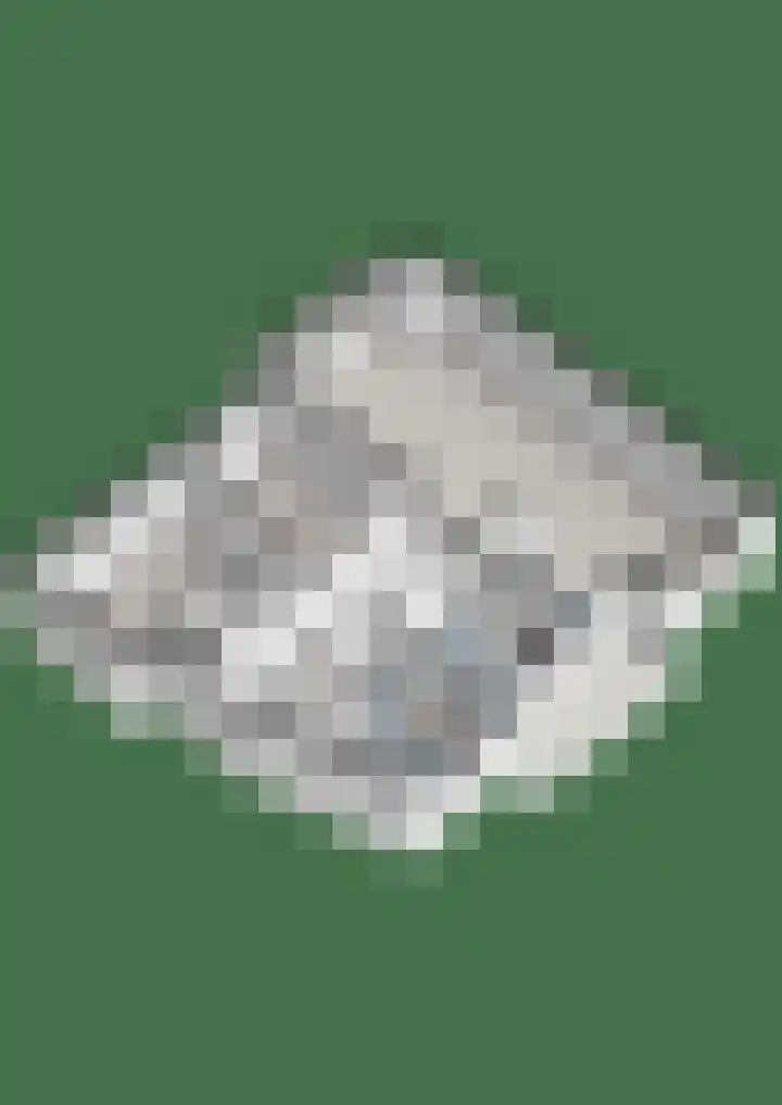 Burg van der Lelysingel 2 D Coevorden thumbnail 35