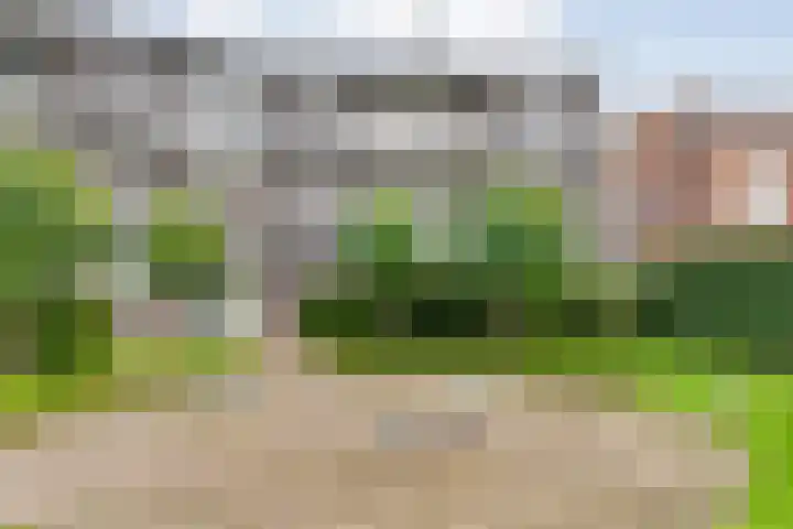 Burg van der Lelysingel 2 D Coevorden thumbnail 4