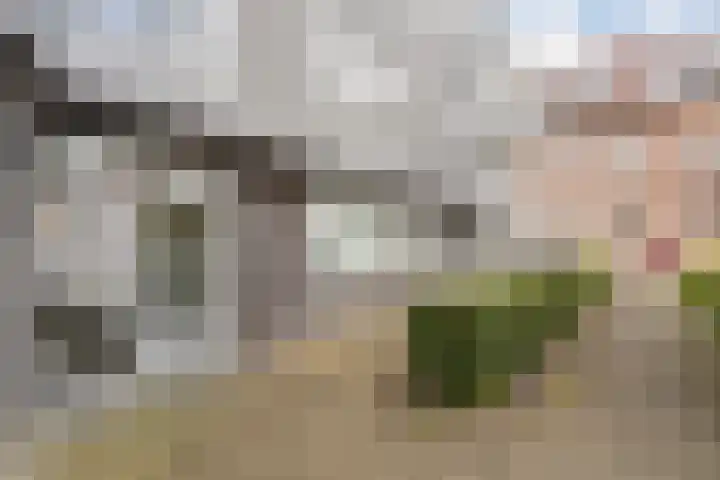 Burg van der Lelysingel 2 D Coevorden thumbnail 6