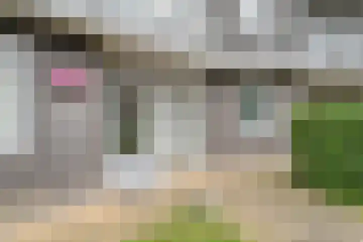 Burg van der Lelysingel 2 D Coevorden thumbnail 7