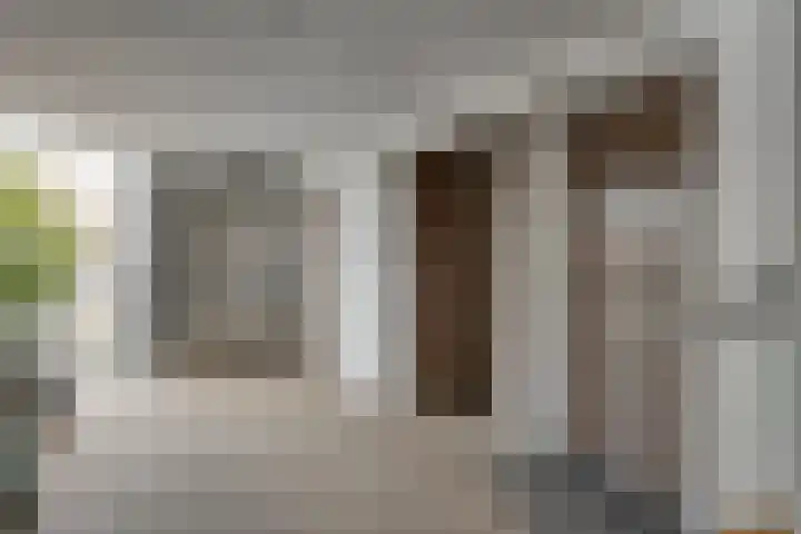 Burg van der Lelysingel 2 D Coevorden thumbnail 8