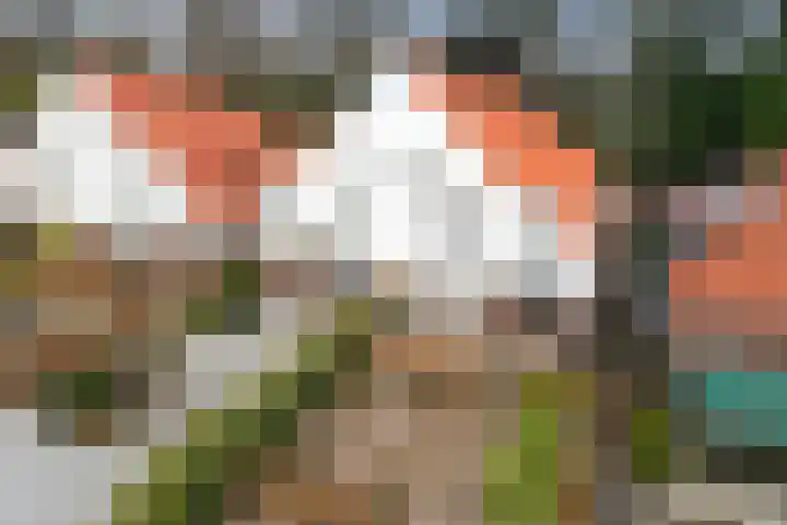 Burg van der Lelysingel 23 Coevorden thumbnail 36