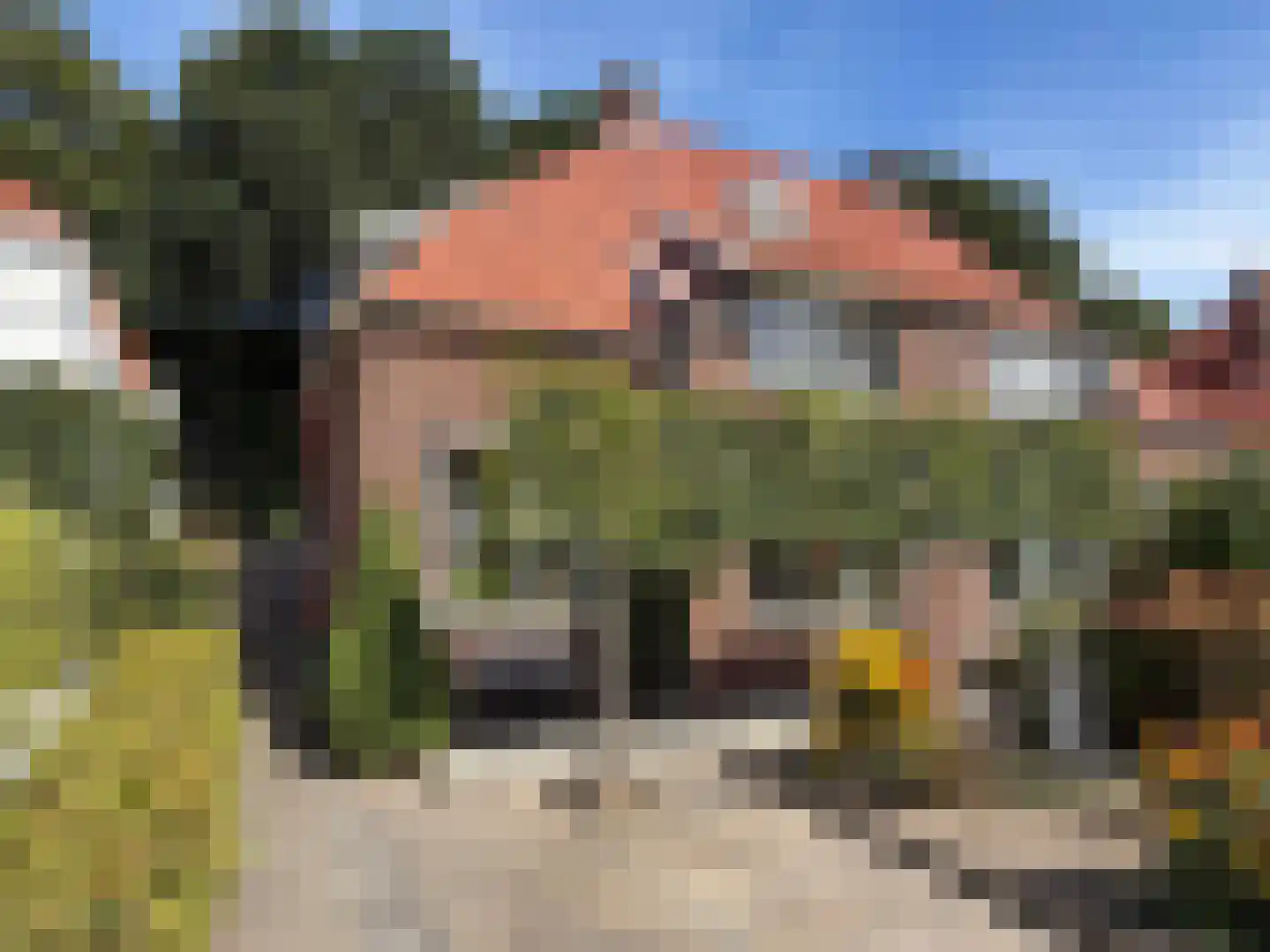 Burg van der Lelysingel 25 in Coevorden