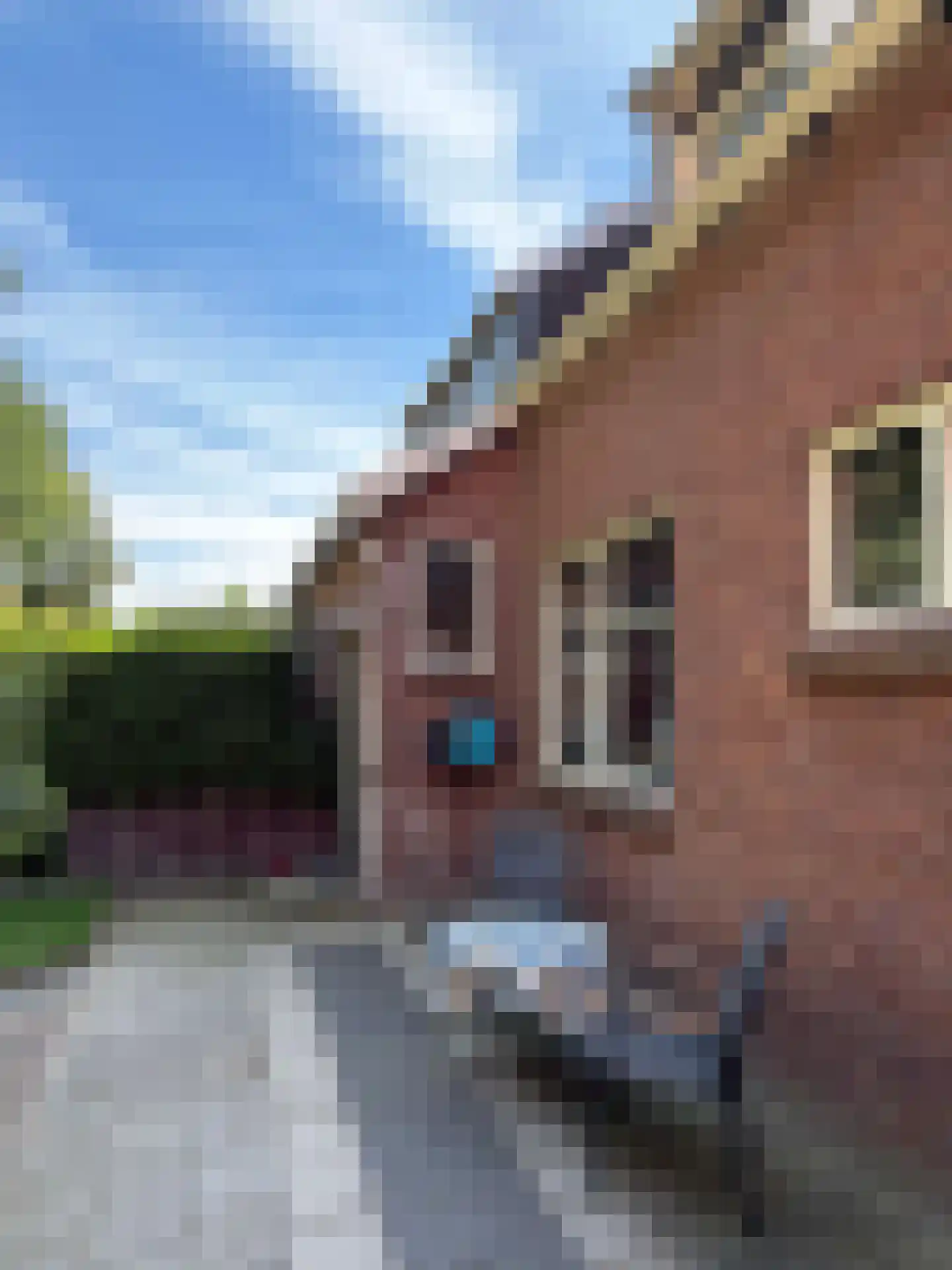 Burg van der Lelysingel 25 Coevorden thumbnail 11