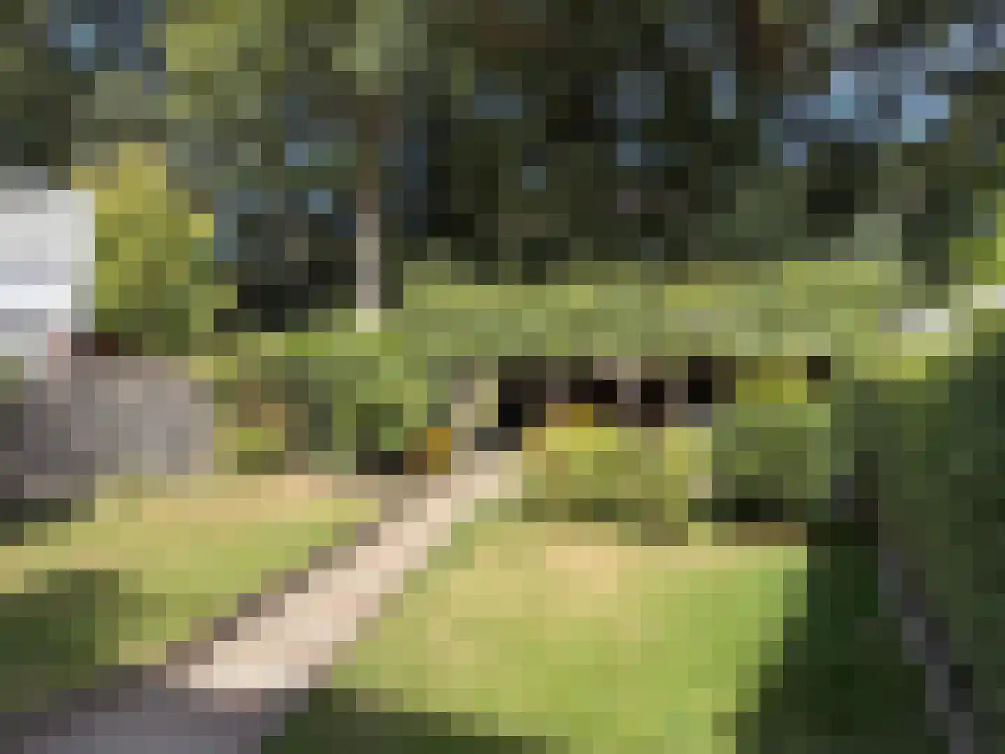 Burg van der Lelysingel 25 Coevorden thumbnail 12