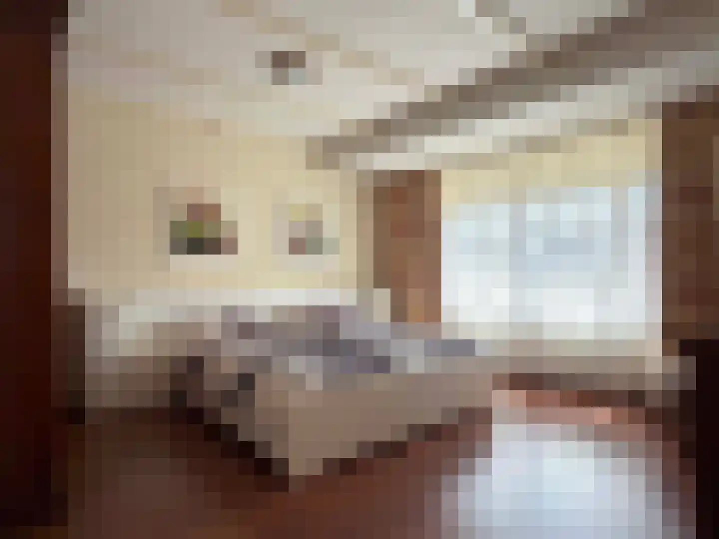 Burg van der Lelysingel 25 Coevorden thumbnail 23