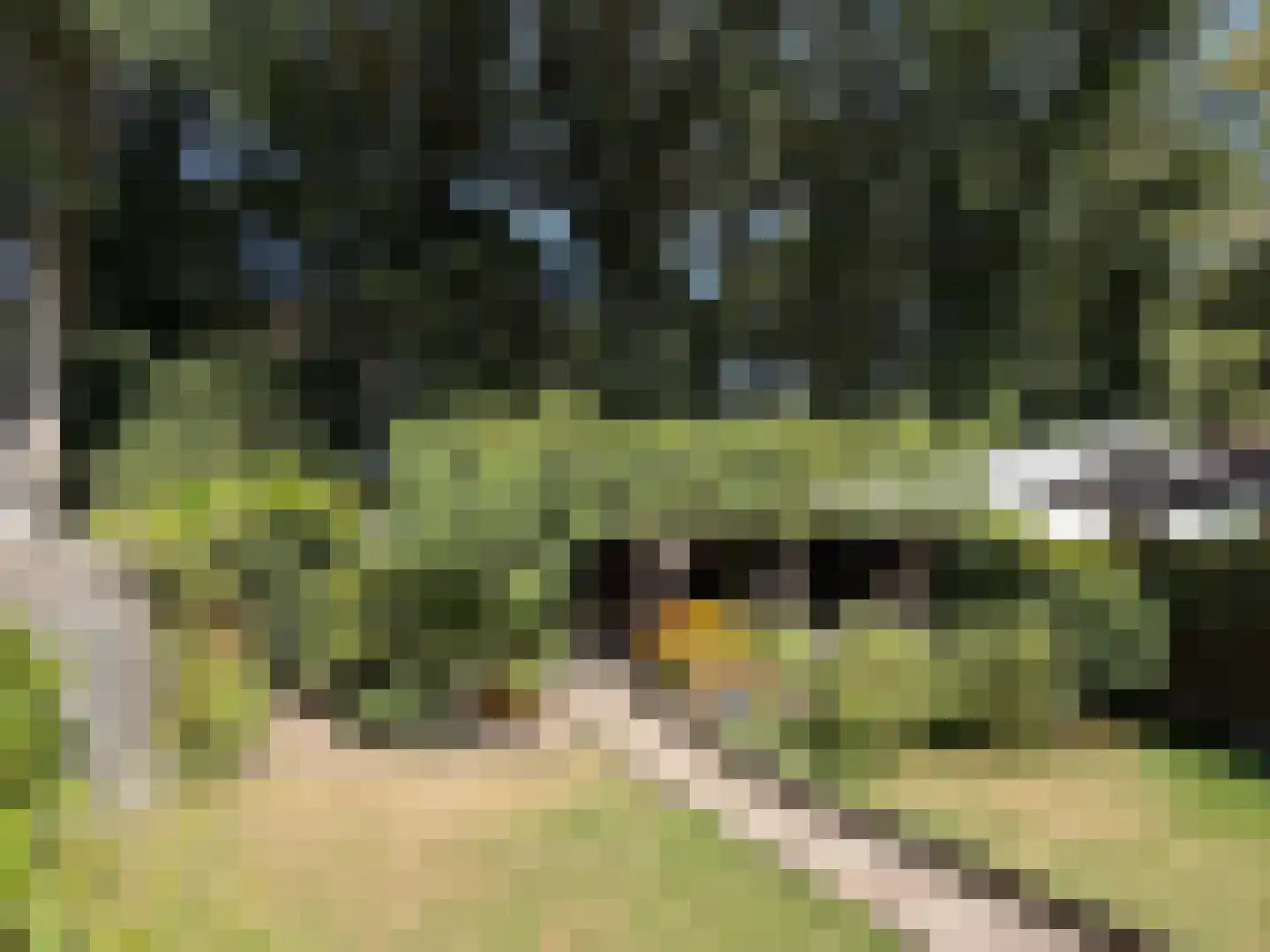 Burg van der Lelysingel 25 Coevorden thumbnail 27