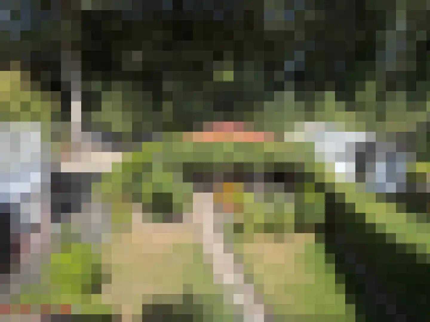 Burg van der Lelysingel 25 Coevorden thumbnail 29