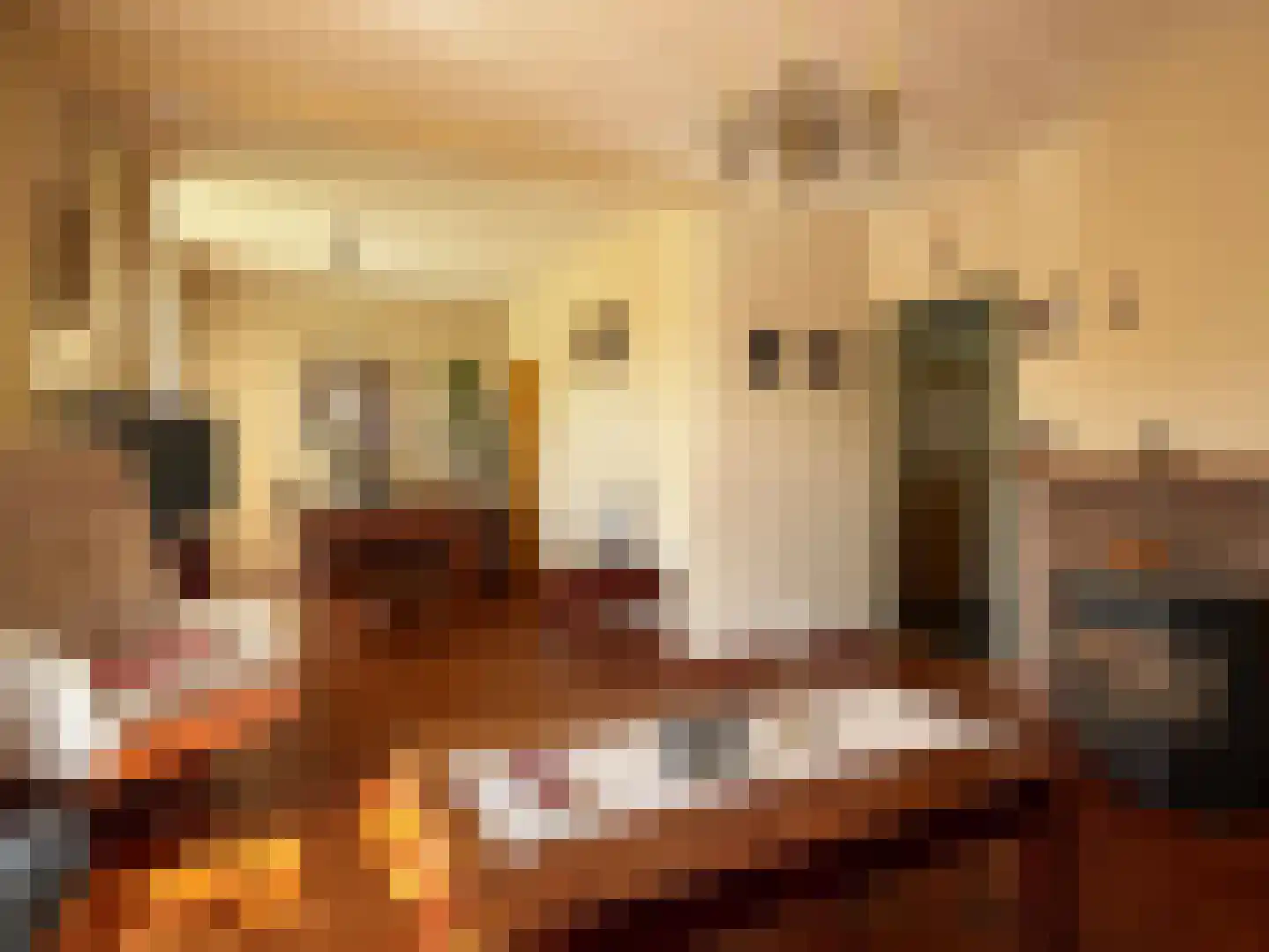 Burg van der Lelysingel 25 Coevorden thumbnail 4
