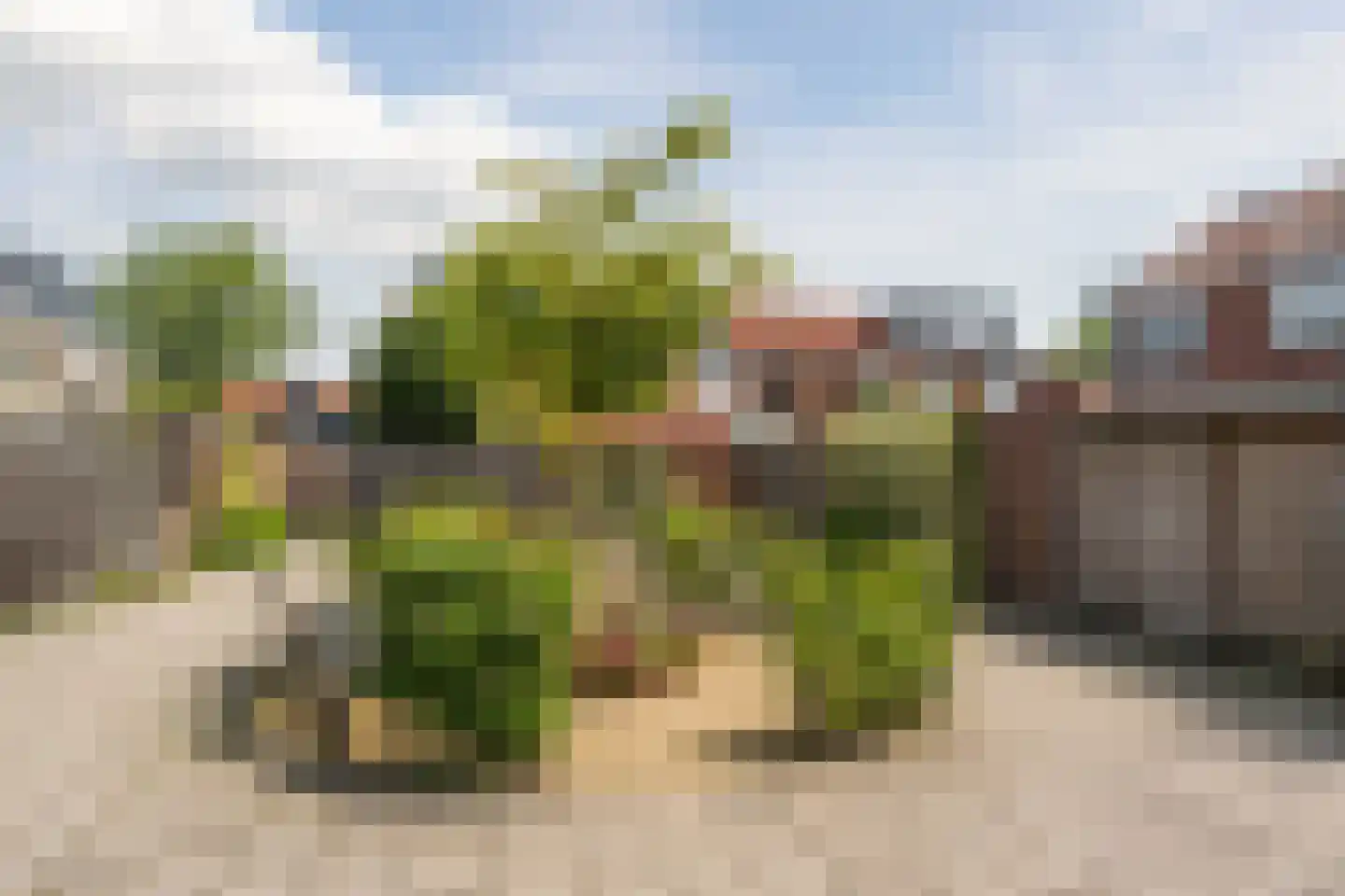 Burg van Gentsingel 11 Schipluiden thumbnail 35