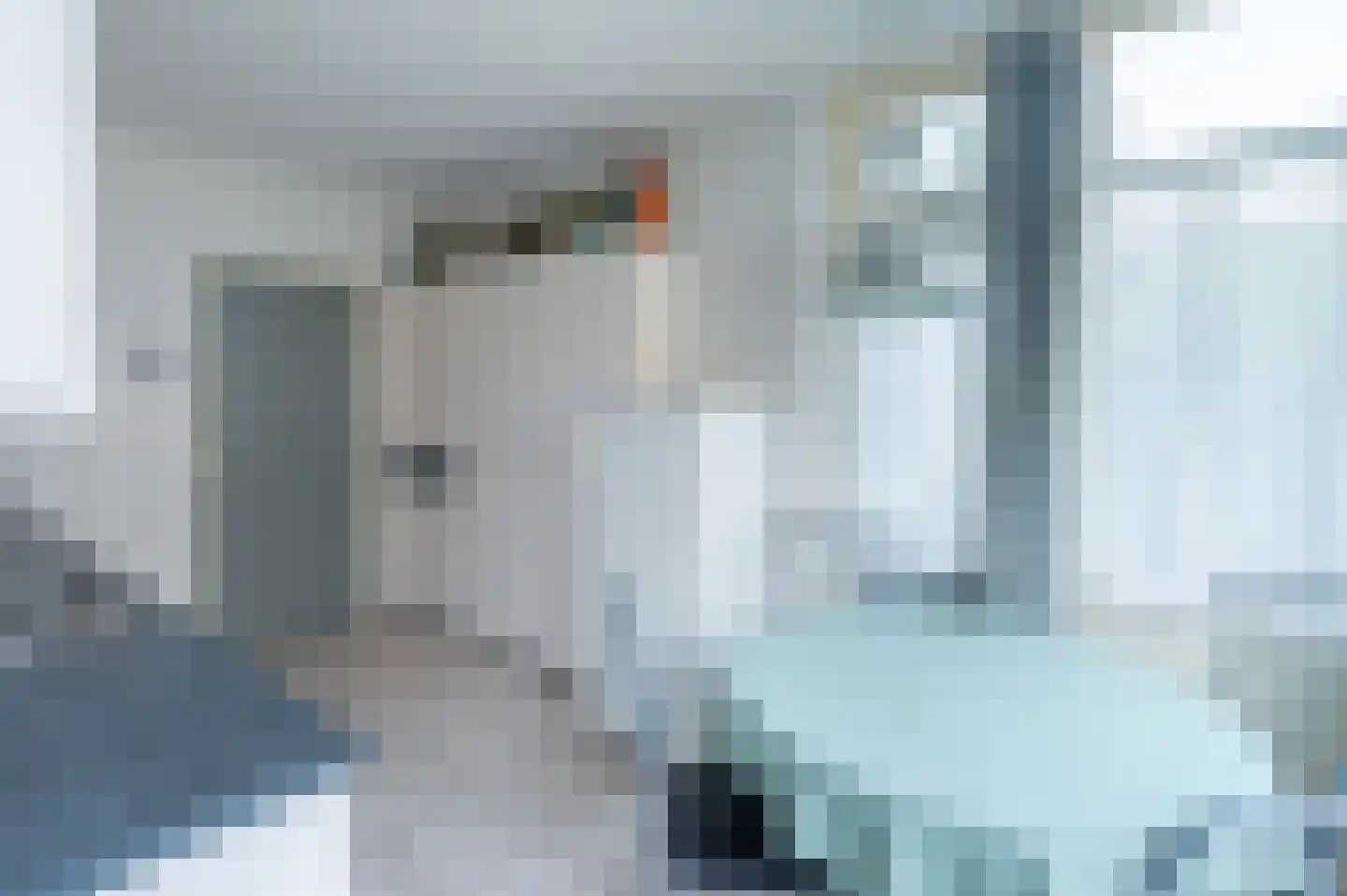 Burg van Gentsingel 16 Schipluiden thumbnail 17