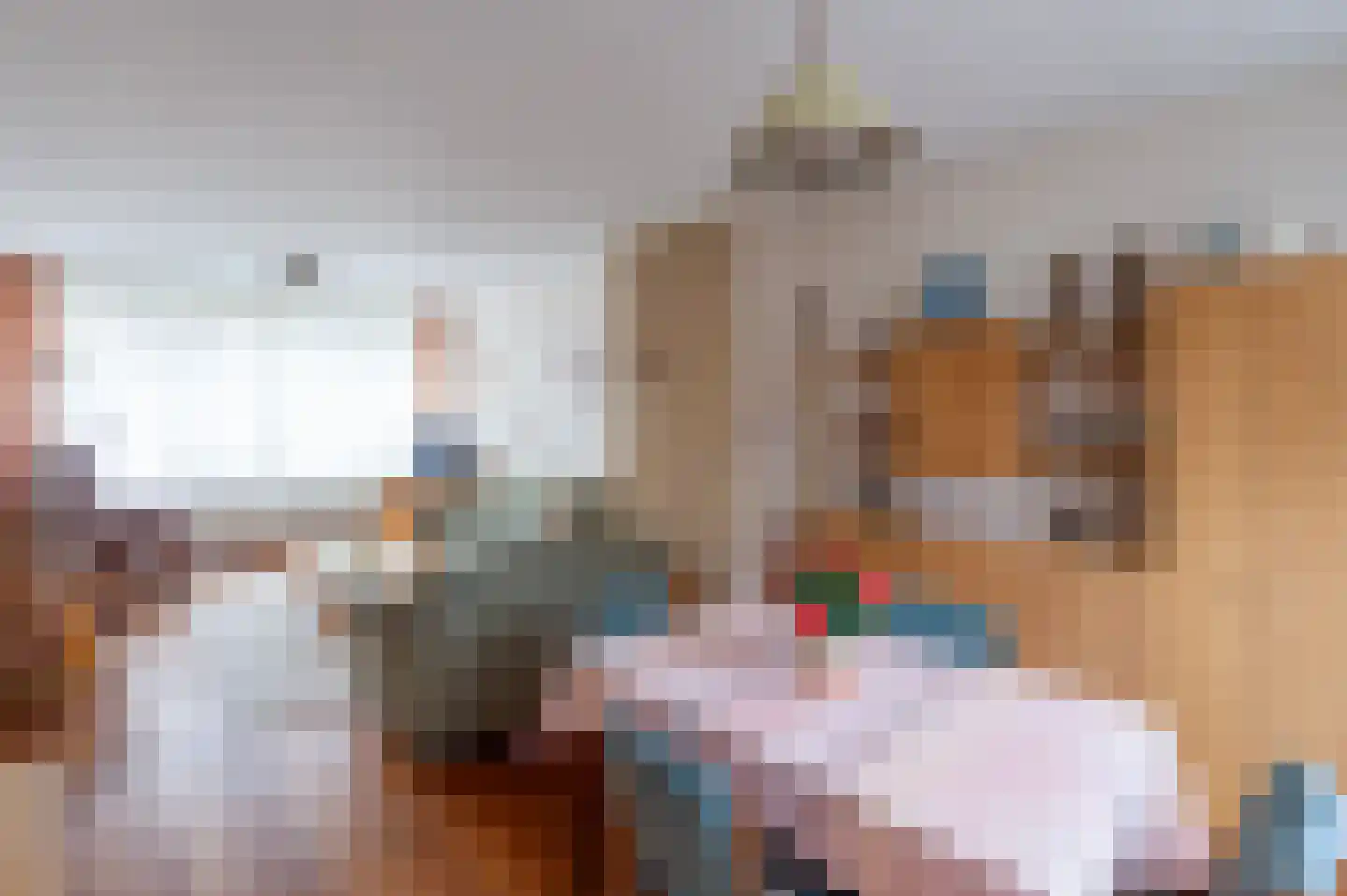 Burg van Gentsingel 16 Schipluiden thumbnail 5