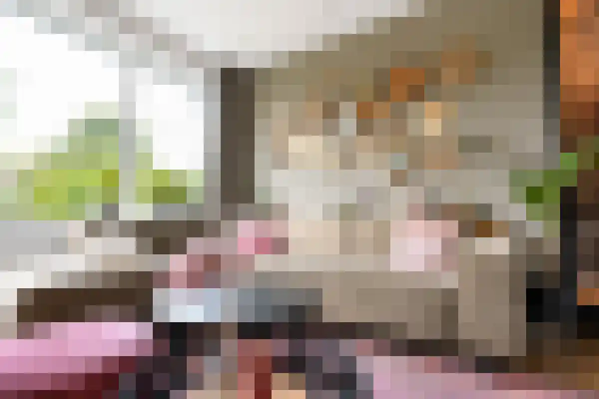 Burg van Gentsingel 22 Schipluiden thumbnail 4