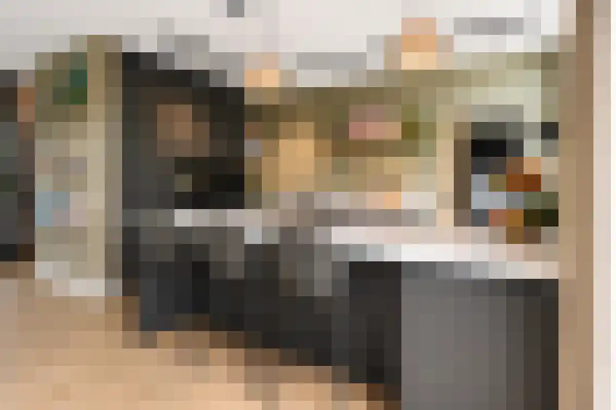 Burg van Gentsingel 22 Schipluiden thumbnail 5