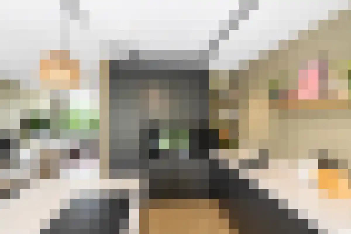 Burg van Gentsingel 22 Schipluiden thumbnail 6