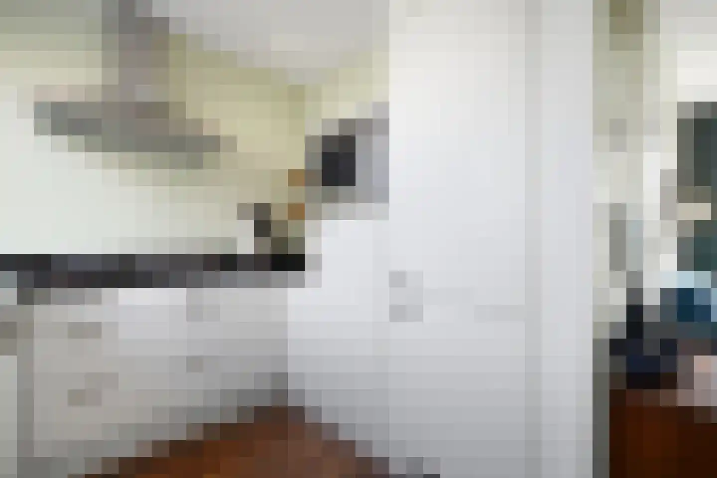 Burg van Gentsingel 3 Schipluiden thumbnail 14