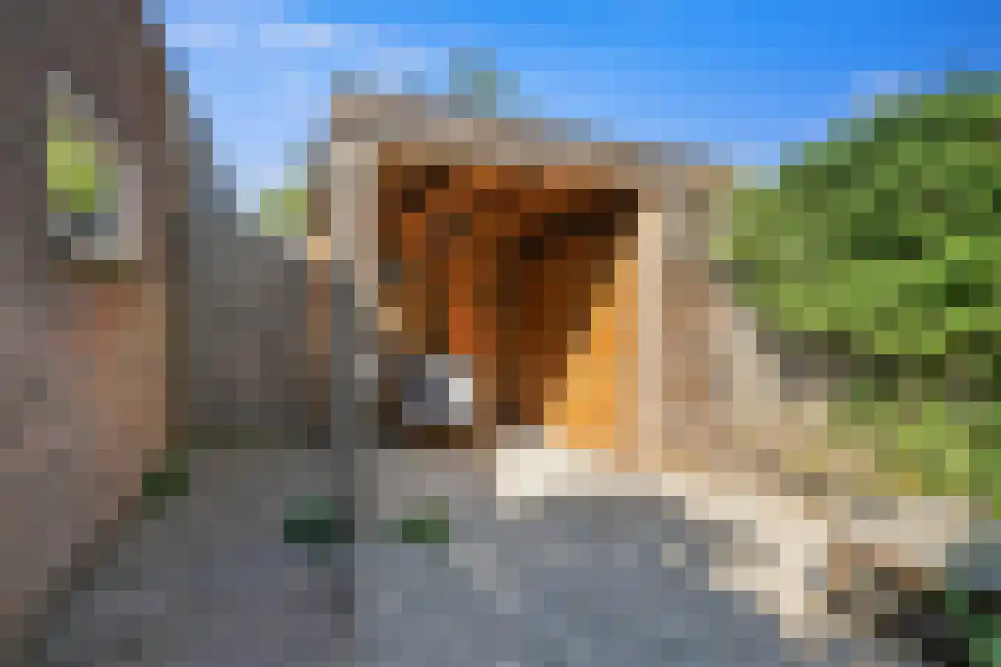Burg van Gentsingel 3 Schipluiden thumbnail 19