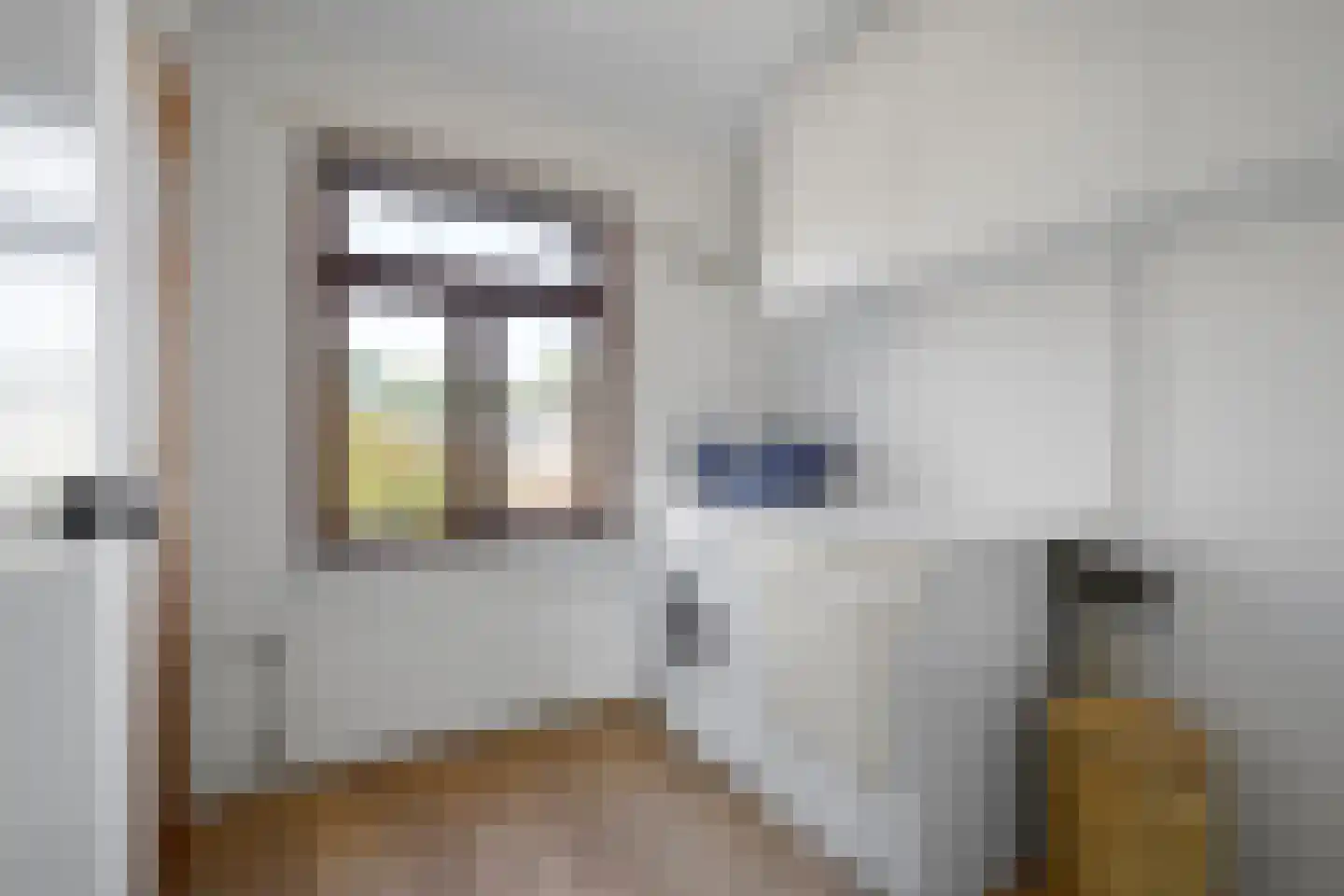 Burg van Gentsingel 3 Schipluiden thumbnail 31