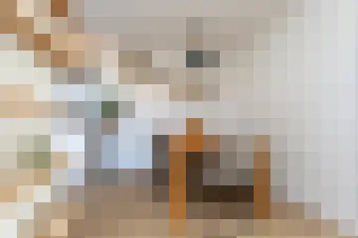 Burg van Gentsingel 7 Schipluiden thumbnail 13