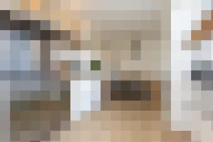 Burg van Gentsingel 7 Schipluiden thumbnail 17