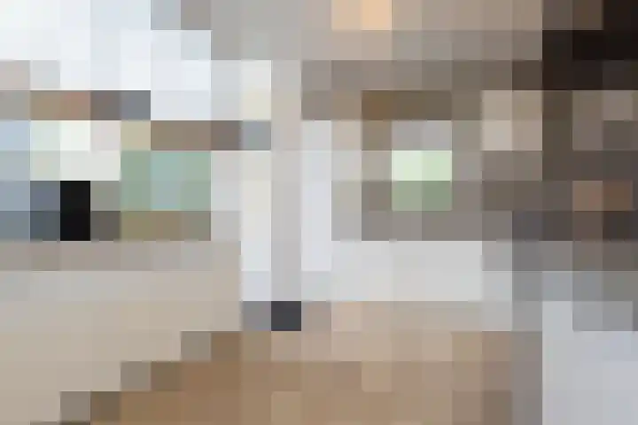 Burg van Gentsingel 7 Schipluiden thumbnail 18