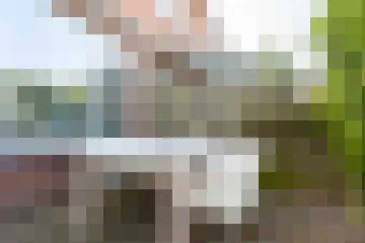 Burg van Gentsingel 7 Schipluiden thumbnail 19