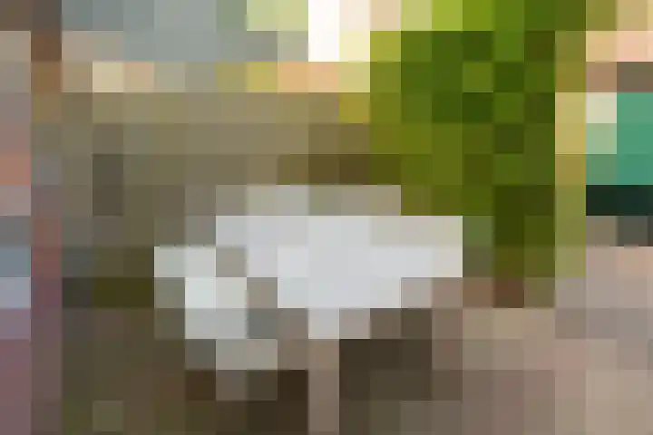 Burg van Gentsingel 7 Schipluiden thumbnail 20