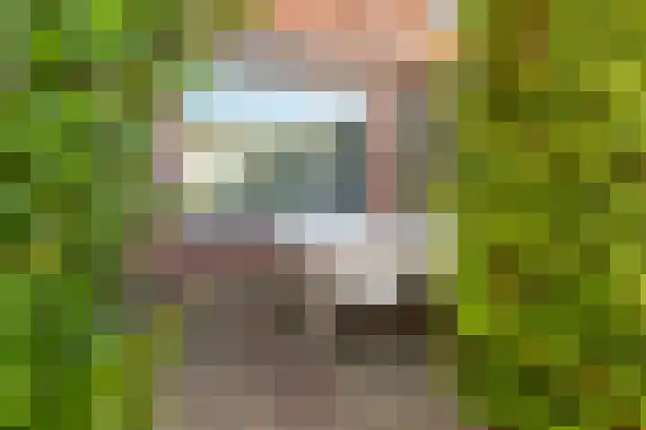 Burg van Gentsingel 7 Schipluiden thumbnail 23