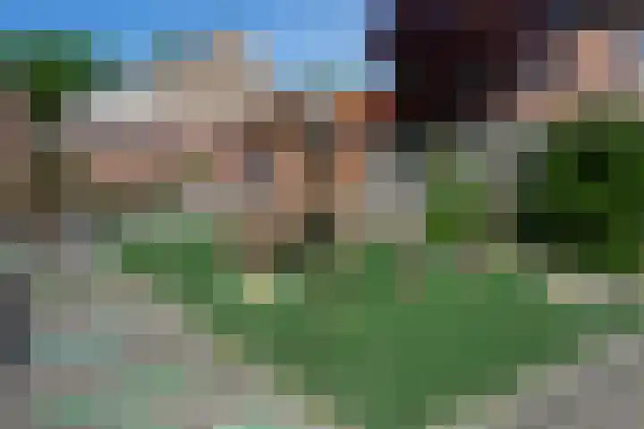 Burg van Gentsingel 7 Schipluiden thumbnail 26