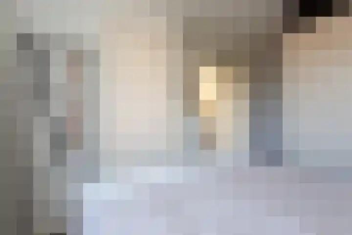 Burg van Gentsingel 7 Schipluiden thumbnail 32