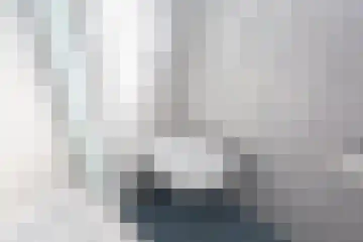 Burg van Gentsingel 7 Schipluiden thumbnail 41