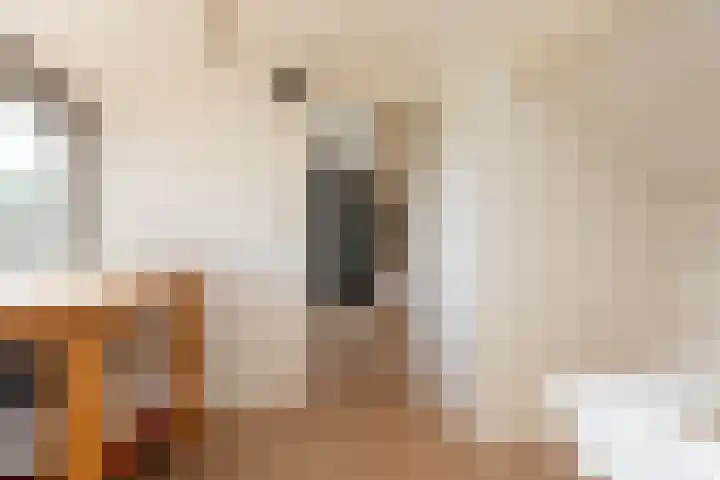 Burg van Gentsingel 7 Schipluiden thumbnail 44