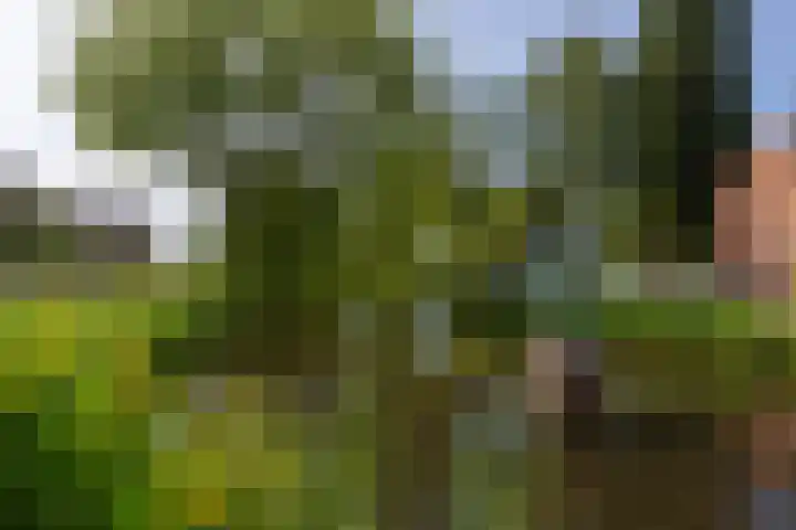 Burg van Gentsingel 7 Schipluiden thumbnail 50