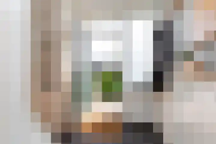 Burg van Gentsingel 7 Schipluiden thumbnail 6