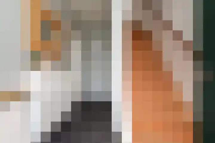 Burg van Gentsingel 7 Schipluiden thumbnail 7