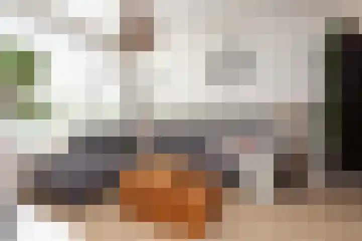 Burg van Gentsingel 7 Schipluiden thumbnail 8