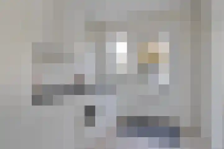 Burg. Van Ginnekenstraat 11 Budel thumbnail 21